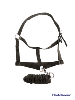 Edc  Halter with Lead Rope